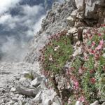 Dolomiti del Brenta